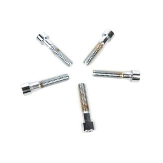 Chrome Wheel Bolt Set GT/GTS/GTV All years