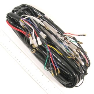 ScooterWest.com - Stator Plate P200 P200E (163910) 19918800 85190100