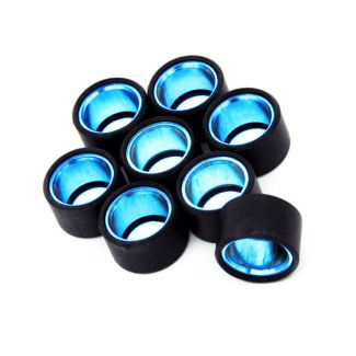 18.5 GRAM (25X16) VARIATOR ROLLERS/WEIGHTS (SET OF 8) BV400 2022-