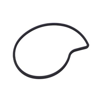 WATER PUMP IMPELLER COVER ORING/PACKING/GASKET FOR GT200 BV200 GTS 250/300CC HPE