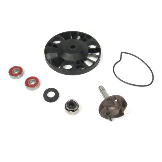COMPLETE WATER PUMP REBUILD KIT - BV200 (2003-2005) EARLY GT (2004-2006) (497486 486216 841330)