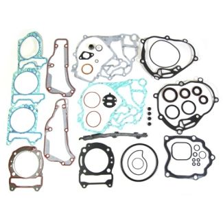 OEM COMPLETE GASKET & SEAL KIT GT/BV 200 2006 AND NEWER (497589 497593 497530 497589 497593)