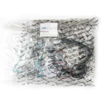 COMPLETE GASKET AND SEAL SET GTS250-300 BV250-300/MP3/250 (497585 497592 497546)