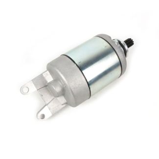 STARTER MOTOR OEM GTS 250/300/HPE PRIMA/SPRINT 150 3V (58142R 58294R 58142R5 58218R5 1A009964R 1A011611R 1D001647)