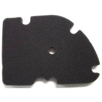 Foam Air Filter VESPA GT/GTS/GTV/HPE/HPE2 200/250/300