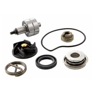 Water Pump Overhaul Kit Vespa and Piaggio 250-300 (8447595-KIT)