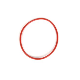 Driven Pulley O-Ring Outer Piaggio BV350