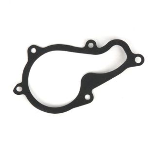 Water Pump Gasket Piaggio BV350