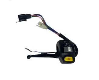 TURN SIGNAL SWITCH & LEVER PERCH ASSY LH SIDE - BUDDY 50/125/150/170i