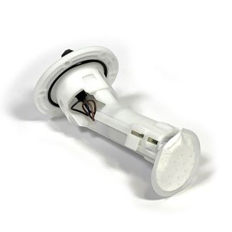 BUDDY 170 ELECTRIC FUEL INJECTION PUMP IN TANK