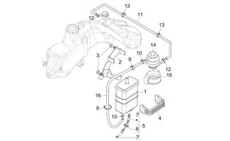 Vespa GTS 250/300ie EVAP System 2006-2019