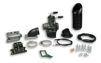 Malossi Reed Kit with Carb For P/PX (1611550)