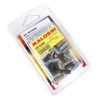 Malossi Clutch Sring Set (3 Different Sets) Piaggio BV350