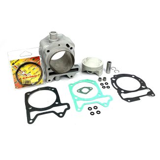 Malossi 218cc kit Vespa GT/ Piaggio BV-Beverly (OLD # M3111473)