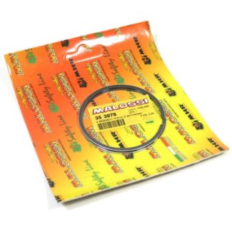 MALOSSI PISTON RING SET 61.8MM (2ND OS) 166CC KIT