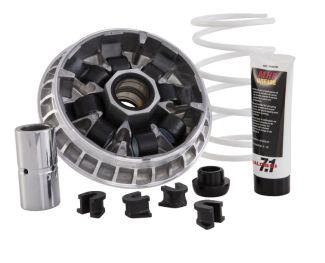 Malossi 8 Roller Mutlivar for 400/500cc Piaggio 