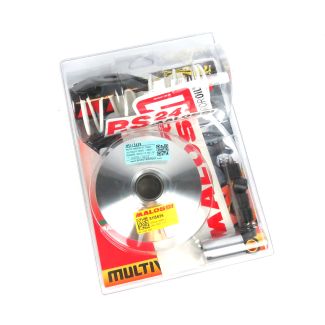 Malossi Variator 3-Valve 150cc Piaggio Engines (Vespa 946, Primavera, Sprint, Liberty)