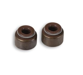 PAIR Malsossi Valve Stem Seals for 4 Valve Cylinder Head (6611823E)