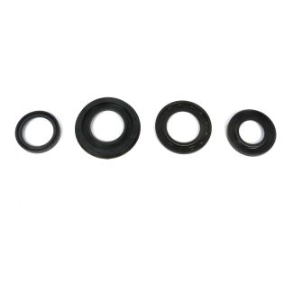 OIL SEAL SET GS160/SS180