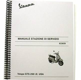Service Manual GTS 250ie/300ie
