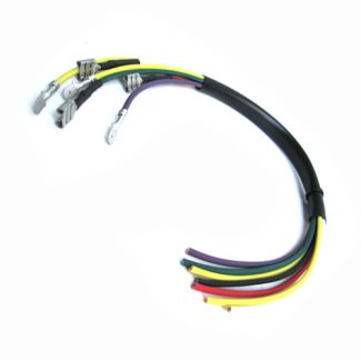 Stator Rewire Kit (Early P200, up to VIN 34627)