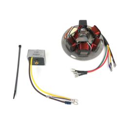 ScooterWest.com - High Output Stator Kit P200/Rally 200