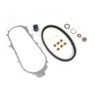 Deluxe Belt & Variator Kit Genuine Buddy 150/170i