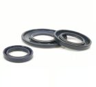 OIL SEAL SET P125/P200 (w/27mm hub)